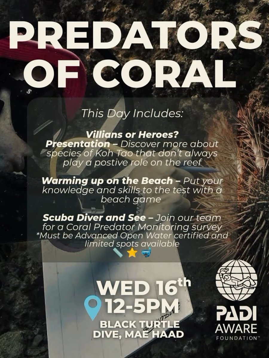 GoProIDCKohTao's tweet photo. PADI AWARE Week at #blackturtledive. Wed 16th (12-5 PM): Coral Predators - Villains or heroes? Interactive talk, beach games, and a monitoring dive. https://t.co/aRfzPaBuor #corals #predators #survey #AWARE #PADI #monitoring #conservation https://t.co/eW2j1JPEUK