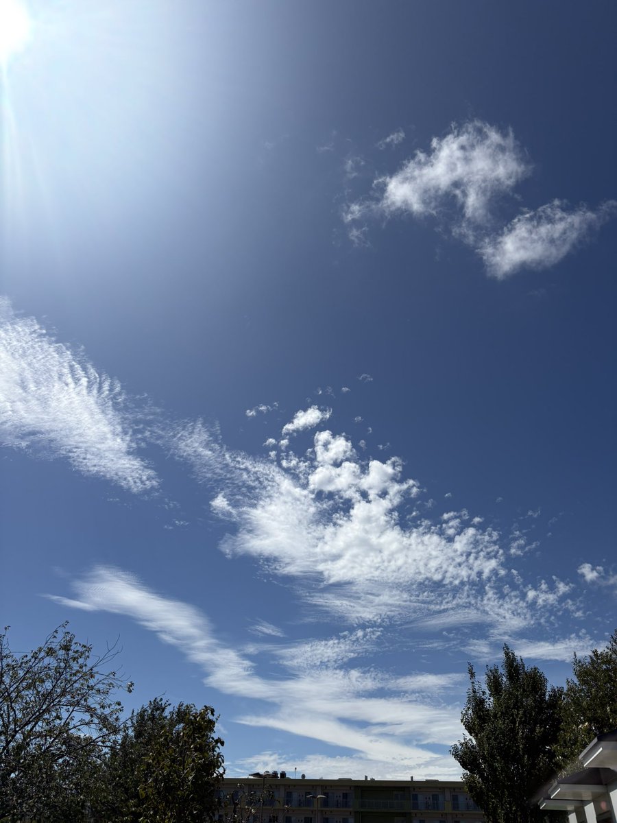 rikoricci777's tweet photo. 青空ストックがなくなる前には
青空見れますように
0000ff https://t.co/TtNi5nOXxk