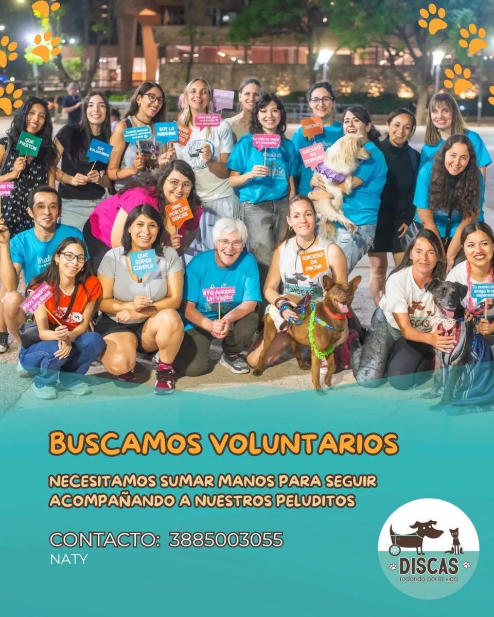 DiscasCba's tweet photo. BUSCAMOS VOLUNTARIOS 📷
En Fundación Discas necesitamos sumar manos para poder seguir acompañando a nuestros peluditos. 📷

SIGUE👇👇👇 https://t.co/tLWwxqbVFf