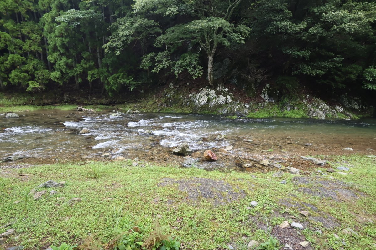 kutukikogawa's tweet photo. 針畑川・朽木針畑よりhttps://t.co/nqarTbGDXc。水量・少し水 水温・19℃ 気温18.6℃ 天気・雨ゾラ #滋賀県 #高島市 #針畑 #田舎暮らし #釣り #鯖街道 #朽木漁協組合 #涼しい #針畑川 #川遊び #田舎 #朽木 #街道を歩く #鮎友釣り #countryside #countrysidelife #田舎生活 #都会と田舎 #雨の日 https://t.co/LSU5k7sLdE