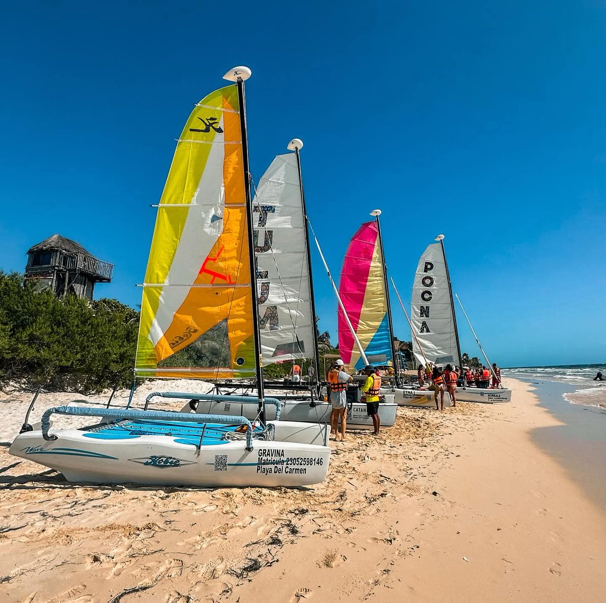 GeekEmpyre's tweet photo. Defenitively My First Regata🪼

FullVisiónTulum https://t.co/Yv3D1K5RMZ
