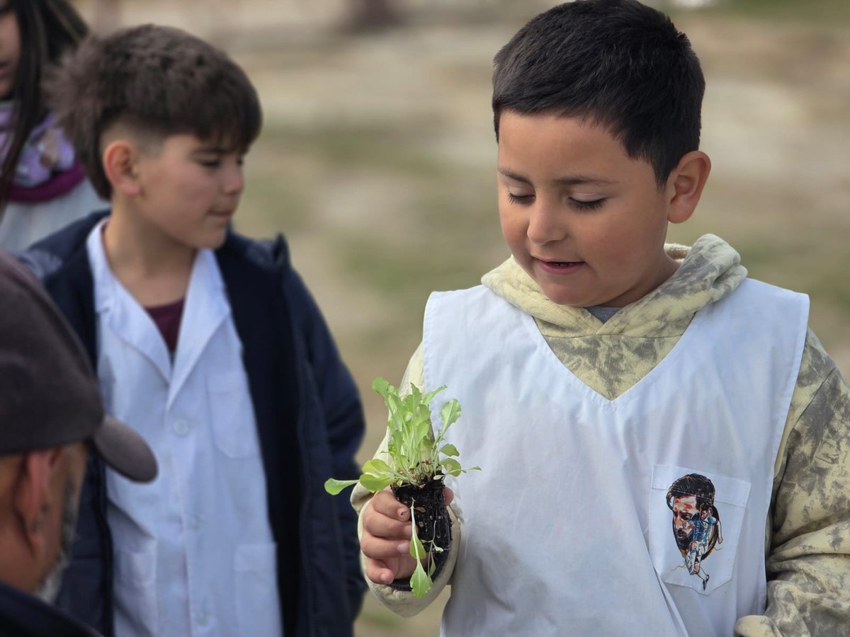 Val_Fabian's tweet photo. En la #EP50 seguimos haciendo crecer el proyecto de #HuertaEscolar🌱🥬.

Junto a los alumnos, docentes y toda la comunidad educativa realizamos el trasplante de #lechuga y #acelga, llenando de vida cada espacio del bancal.🌱💚

Lo más lindo es ver cómo las familias se comprometen y acompañan, ellos llenaron el bancal y limpiaron el sector donde hoy ya funciona la huerta.🤝

Cada semilla, cada trasplante y cada cosecha son una oportunidad de aprender, de trabajar en equipo y de entender que producir nuestros propios alimentos también es educación.📚🌱
Y el recorrido no termina en la huerta… próximamente llevaremos esos alimentos #DeLaHuertaALaCocina👩‍🍳🥬, para compartir, cocinar y seguir aprendiendo juntos.

Cuando la escuela, las familias y la comunidad se encuentran, la huerta se transforma en mucho más que un espacio de cultivo: se convierte en aprendizaje, encuentro y futuro.🌱❤️

#HuertasDeLaCiudad🍅🥦🌸 en #VillaMuñiz.🙌