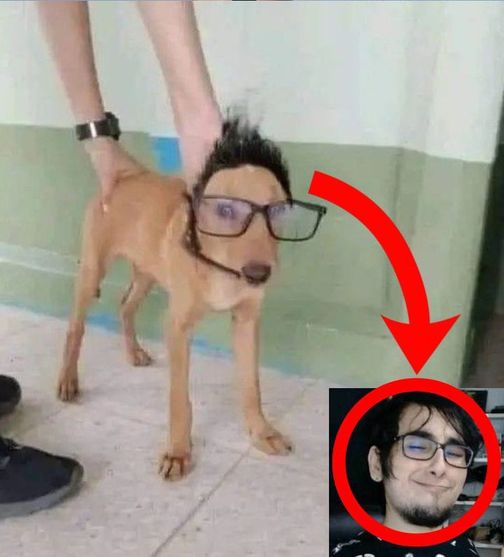 ricktheunderdog's tweet photo. @senshi_real eu tenho o

saikachorro https://t.co/fZCE0FY3RM