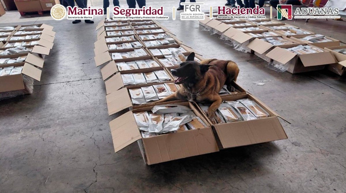 ContraProMx's tweet photo. 😱🥷🏻🛄🛅 En el #AICM aseguran una tonelada de #Café con #Coca...de la blanca ☕ 🥤😱
#CDMX Mediante labores de control, vigilancia, revisión no intrusiva, en el @AICM_mx, elementos de @SEMAR_mx y @AduanasMx, con apoyo de un binomio #canino, detectaron un cargamento de tránsito internacional declarado como #café, con un peso aproximado de una tonelada, contaminado con #cocaína.
Con estas acciones, las instituciones del Gabinete de Seguridad fortalecen los mecanismos de vigilancia para impedir el tráfico internacional de drogas y proteger la legalidad de las operaciones de comercio exterior
Cocaína Oaxaca avión perro