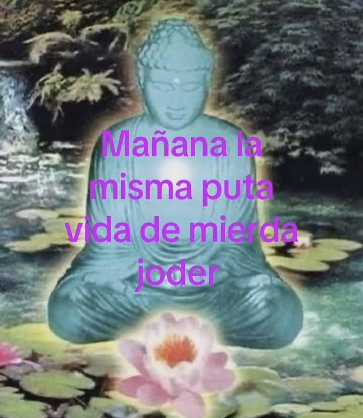 laradomarco's tweet photo. https://t.co/GbUY1YCJp0