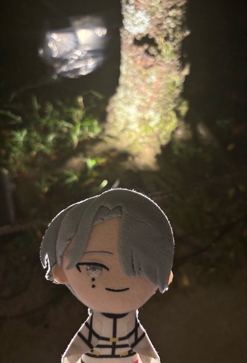 Shidou_nui's tweet photo. https://t.co/PMxVVWrdVv