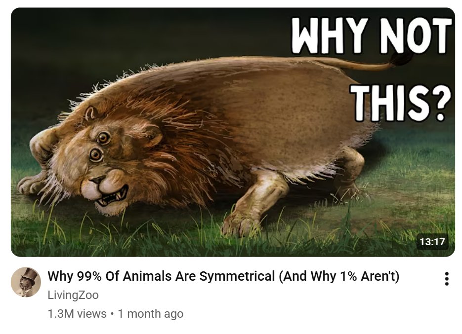 Carlosarty12's tweet photo. A lion doesn't concern themselves with the concept of symmetrical https://t.co/eYQLw4pFjO