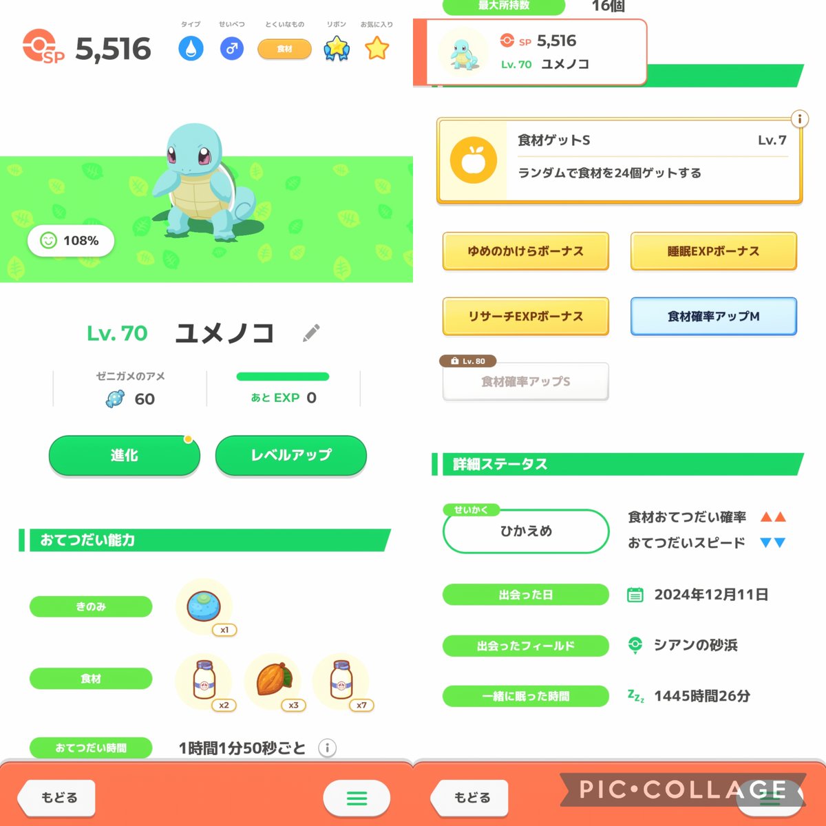 ZENInokoGAME's tweet photo. Lv.70🐢ちゃん7匹目🙌 https://t.co/IWnlLwaHf9