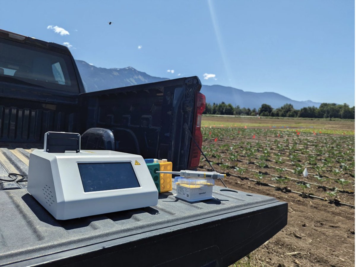 GrainsWest's tweet photo. New molecular tools improve wireworm identification https://t.co/9tYxBB3NSq @AlbertaGrains #clickbeetle https://t.co/tiVlhBT685