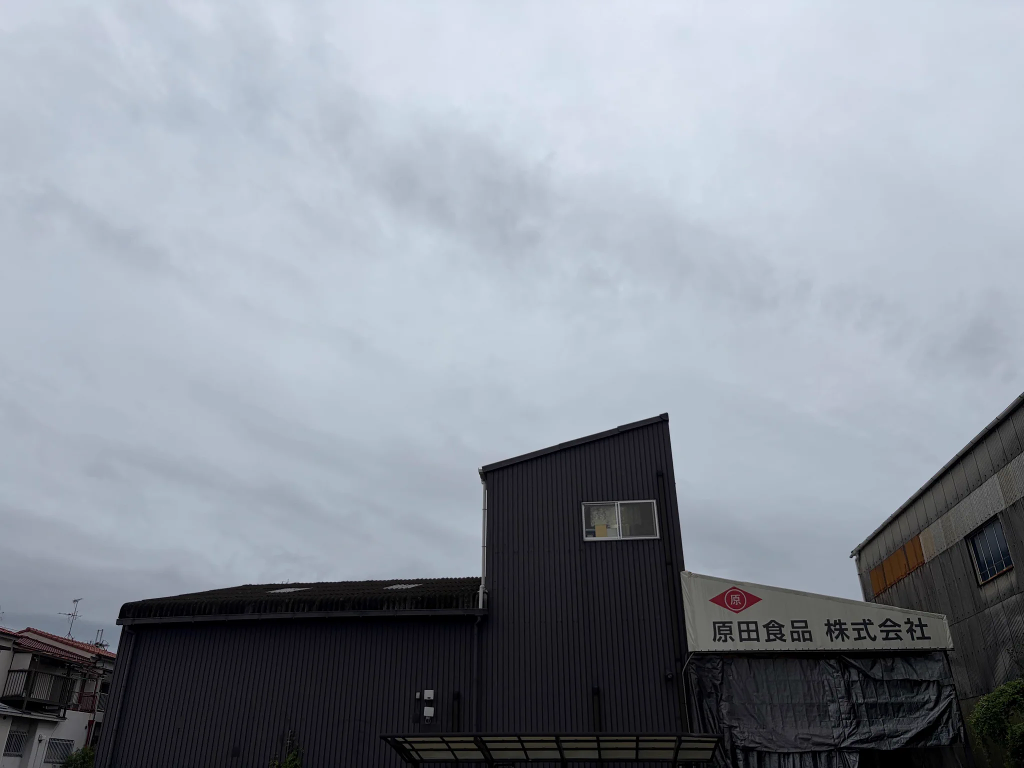 【大特価｜送料込】★現品のみ★田原市_在庫1点 原田食品株式会社【公式】🥜 on X: 