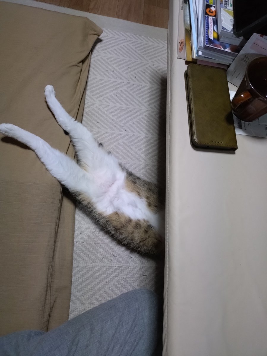 tane_39's tweet photo. 開けた妹と閉じた兄😅 https://t.co/IcsCwlOrQI