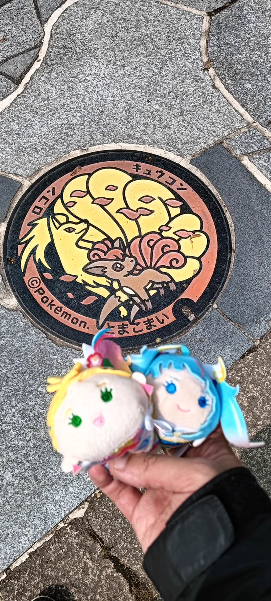 ニ*ル様 ポケモン 苫小牧 マンホールデザイン　ラバーキーホルダー ロコン キュ ヒナタ まぜまぜ垢 on X: 