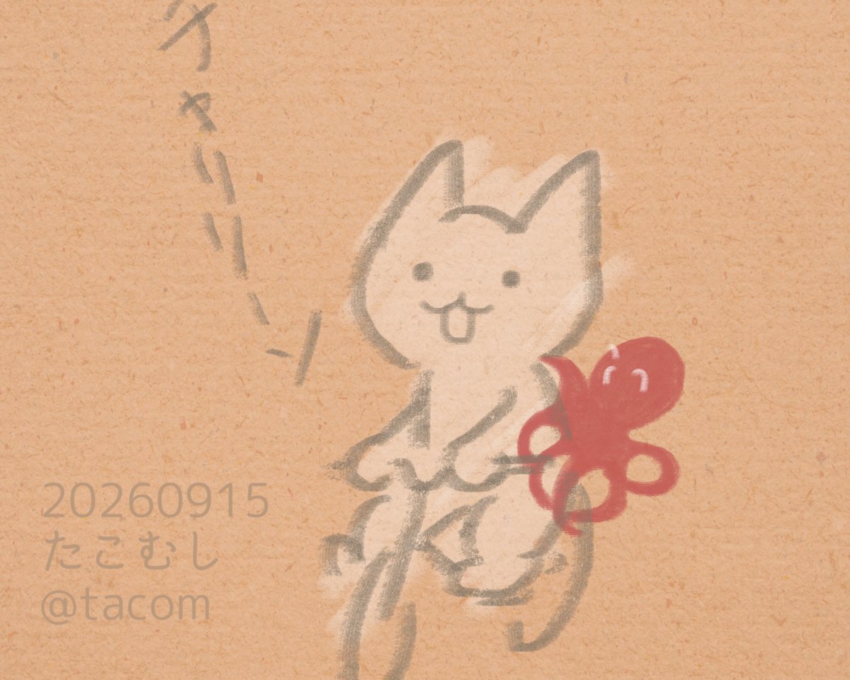 tacom's tweet photo. おはようございます

きのうアップしようと思ってた
ねことタコ
天気のいい日に自転車に乗りたいなーと思って描きました☀️

雨が続きますねー https://t.co/lhbmnc33cp