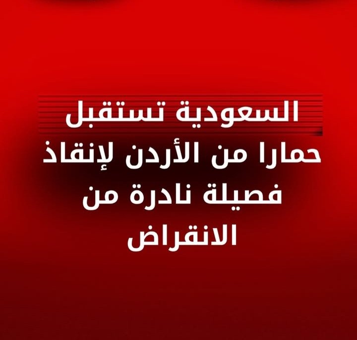 NetRaeds's tweet photo. #الحمار_البري_الآسيوي#محمية_الامير_محمد_بن_سلمان#السعودية_والأردن#محمية_الشومري#حماية_الحياة_الفطرية_العنف الاسري https://t.co/qZZtRgpMKT