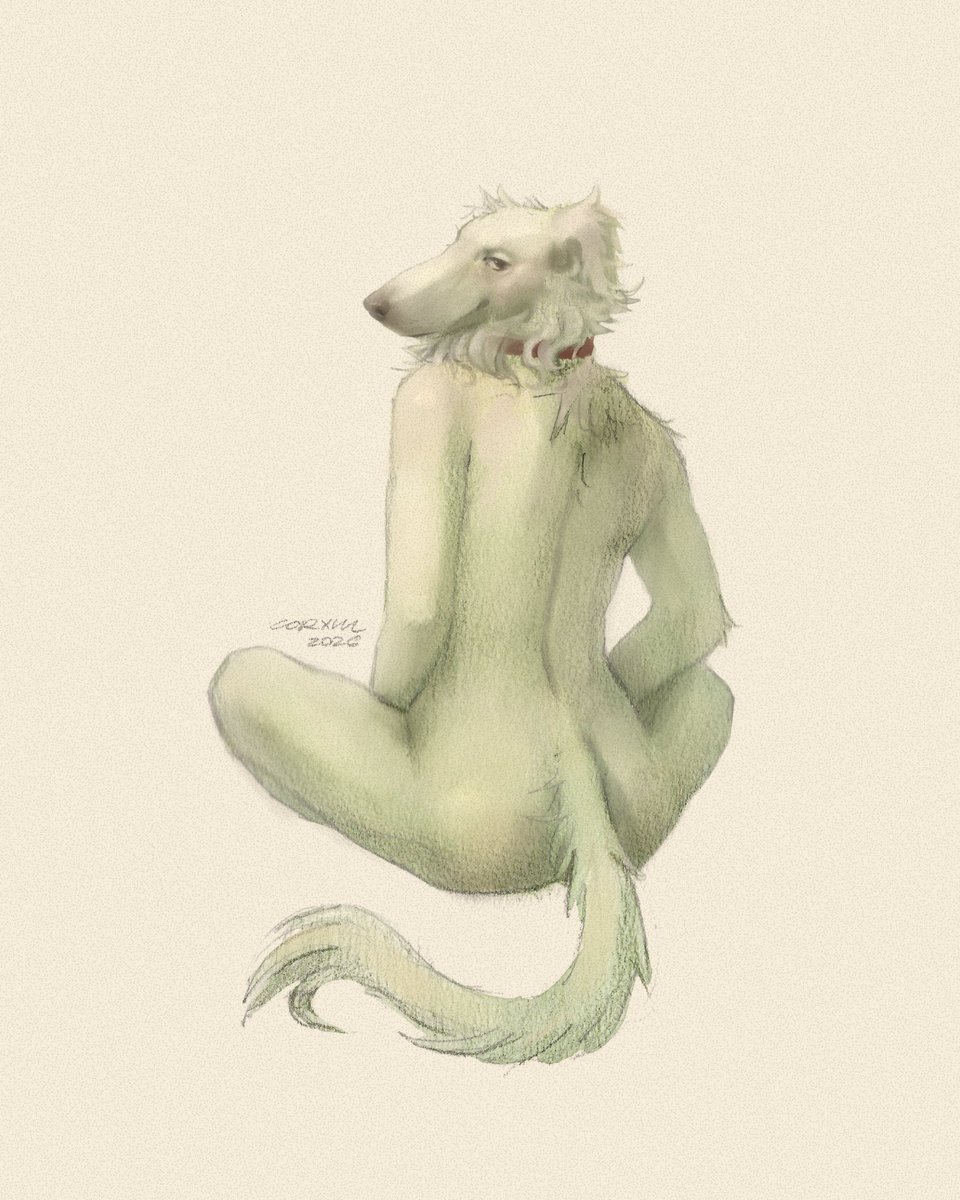 corxul's tweet photo. Borzoi, Pups 1/10

Watercolor and colors + Digital finish
June 2026 https://t.co/BCfFihNkbc