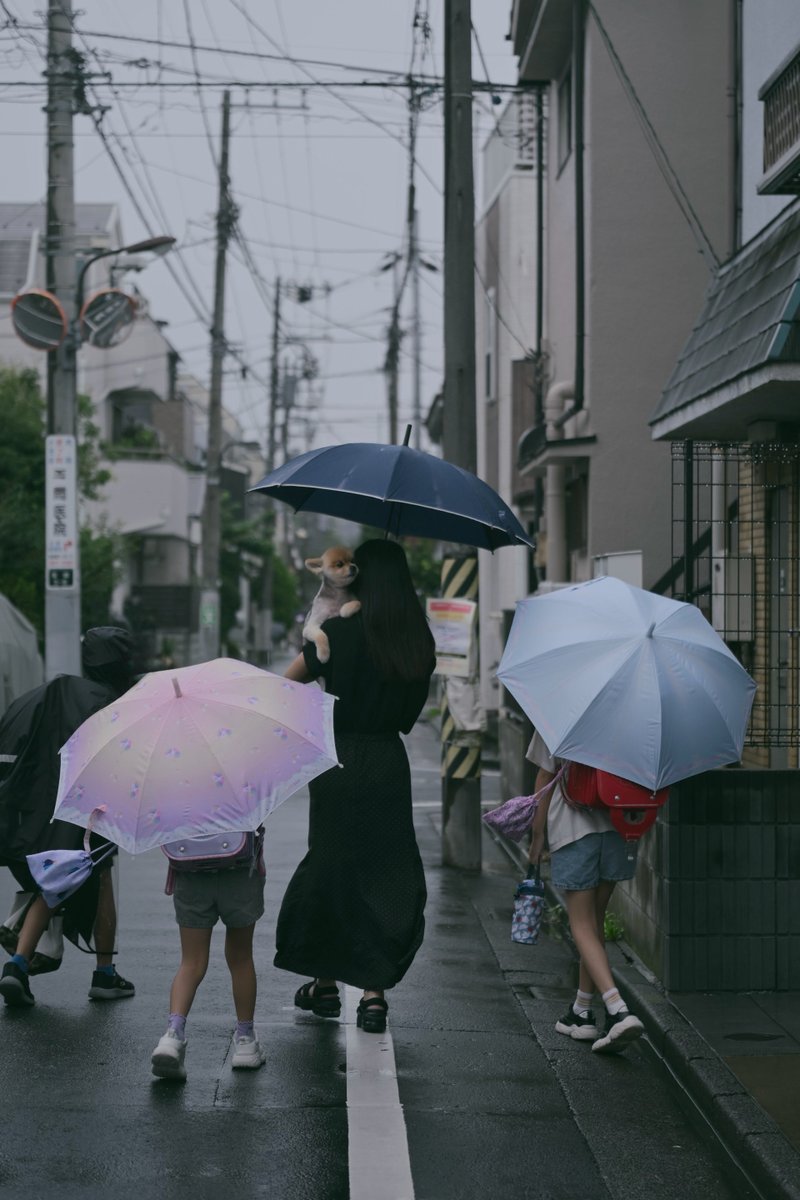 tsuyo428's tweet photo. お見送りSHOT❗
おはようございます!微妙な雨ですが傘ささないと意外と濡れるやつです。今日も明るく元気に楽しく過ごしましょう💨️
Nikon Z6III
NIKKOR Z 24-70mm f/2.8 S II
#PonPost #PonZCV #PonZHub https://t.co/LLL9H5w1HN