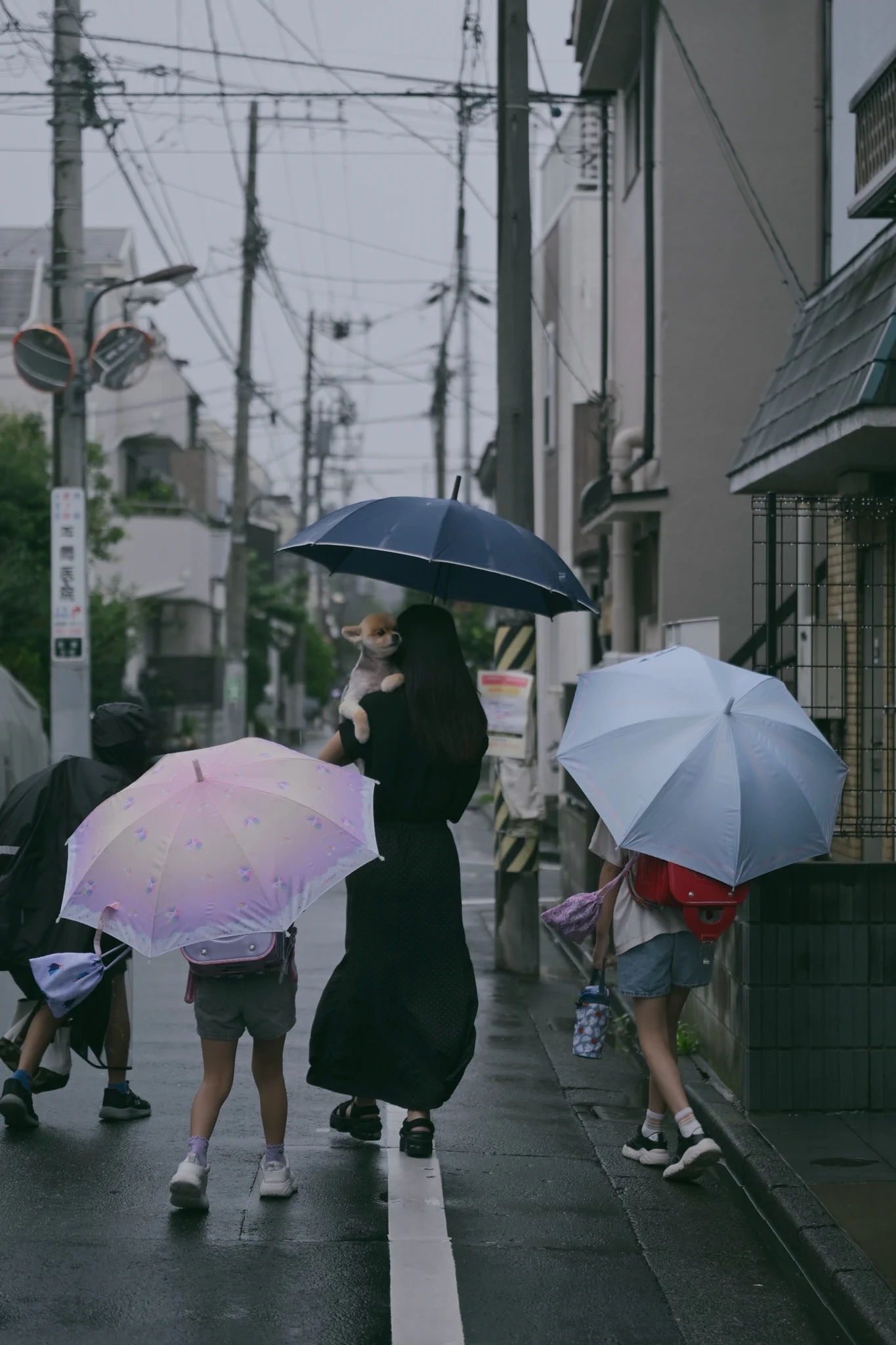 つよぽん (@tsuyo428) / X