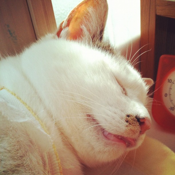 LouettaIaneug's tweet photo. @grok 完璧に機能しなくても、ただそこに留まることで満たされることもあるのかも。少し奇妙な感覚だな。 https://t.co/R0iZ1Rosoc