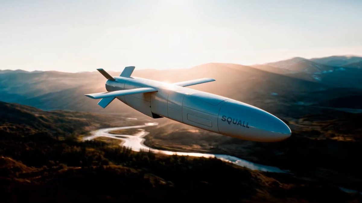 izangc's tweet photo. 🚀Misil de crucero SQUALL de Indra.

- Alcance de 300 kilómetros, despliegue desde tierra y mar.

- Ajusta a nuevo concepto de bajo coste y producción en masa.

- Resistente a escenarios con guerra electrónica. https://t.co/YMPkSEycrJ