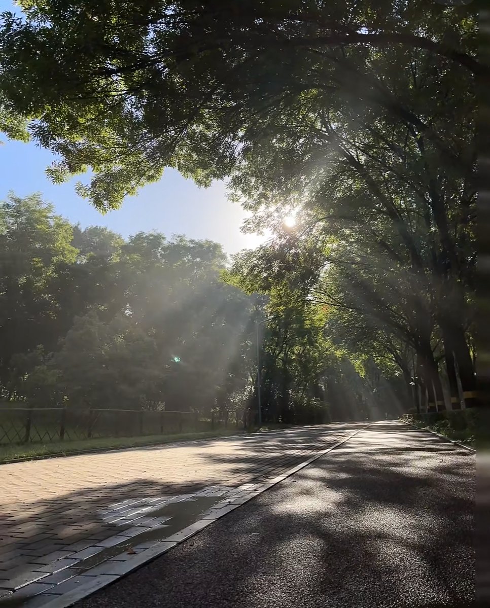 squij576641's tweet photo. My 5am morning runs are finally sticking—traded snooze buttons for fresh air and way more energy this month. Feeling like a total win!， https://t.co/TB3uWXe27Z