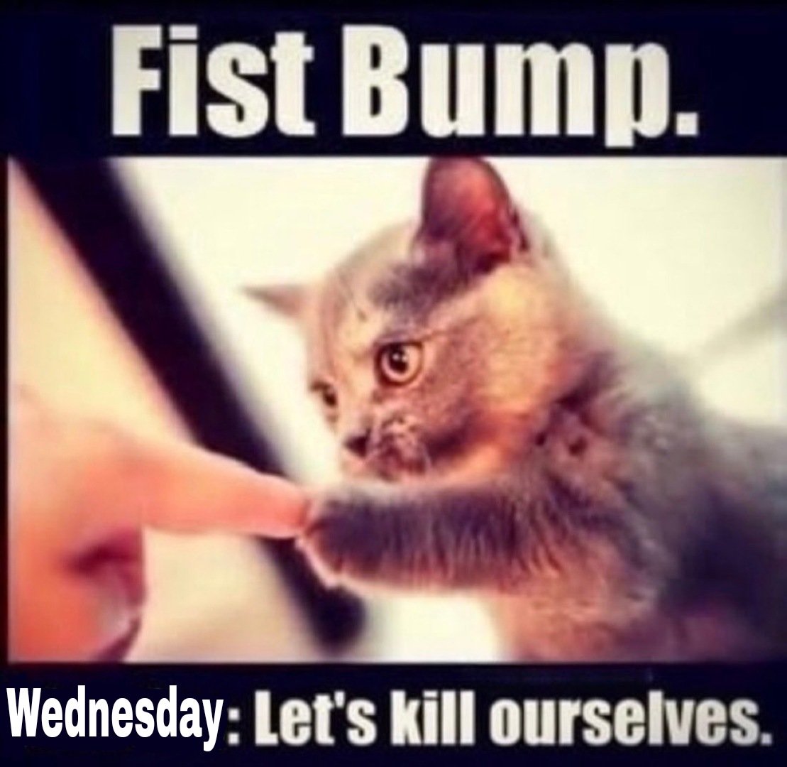 the47cat's tweet photo. https://t.co/NIAWQta4zj