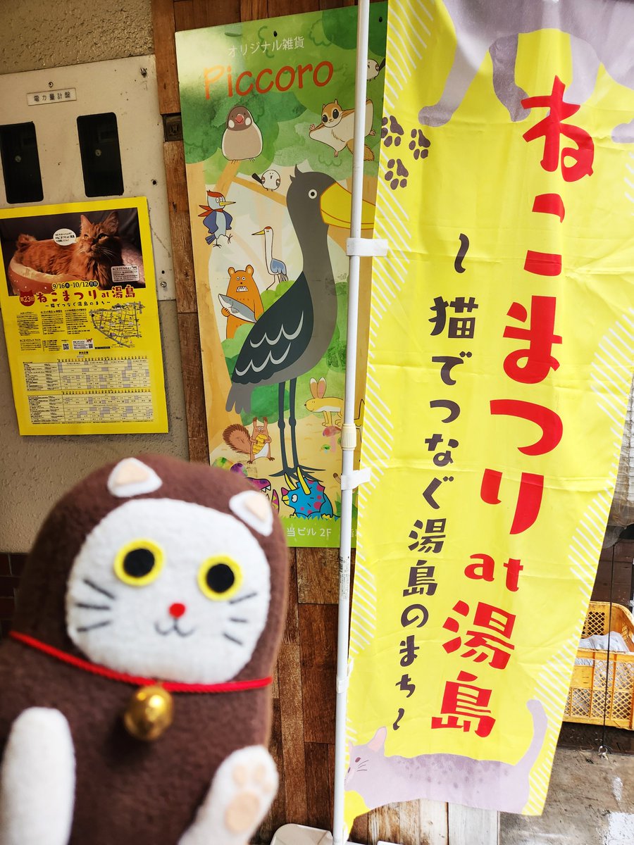 nyanryosika's tweet photo. ねこまつり始まったのにゃ〜！！わくわくにゃ！ #ねこ #ご当地キャラ #ねこまつりat湯島 https://t.co/AoutAhjxiK