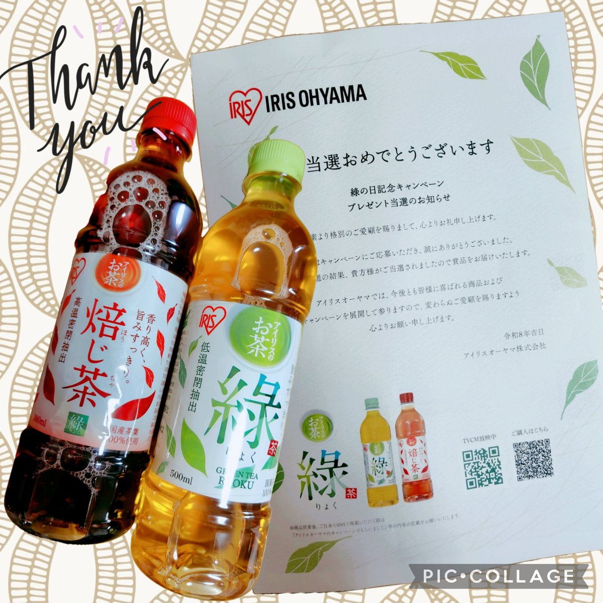 ha_kayama's tweet photo. @irisohyama_info 
#アイリスオーヤマ　さんの
綠の日記念キャンペーンで「アイリスのお茶　綠」と「アイリスのお茶　焙じ茶」をいただきました✨
どちらもすっきり飲みやすくて美味しかったです♪
アイリスオーヤマさんのお茶初めて飲みました😊
ありがとうございました💕 https://t.co/Wun8jaZO1r