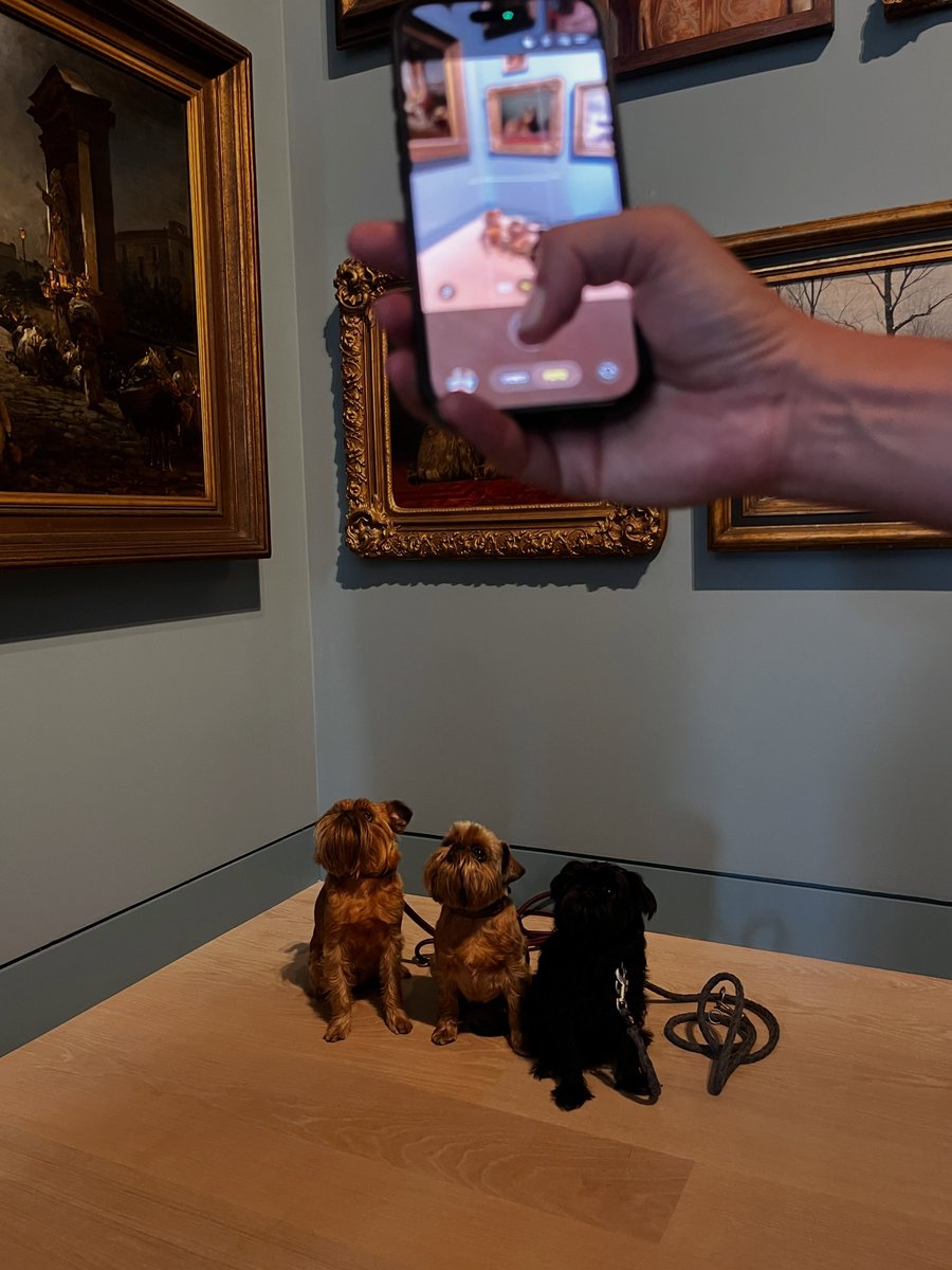 penelopehaller5's tweet photo. Happy International Dog Day at Kunstpalast with my friends Betsy the Baroness, Bambi, and Sissi. https://t.co/hTyKx1NmSb
