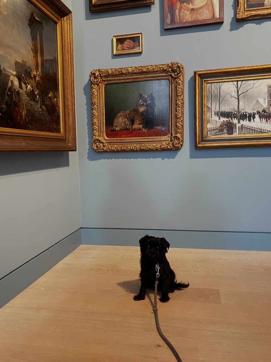 penelopehaller5's tweet photo. Happy International Dog Day at Kunstpalast with my friends Betsy the Baroness, Bambi, and Sissi. https://t.co/hTyKx1NmSb