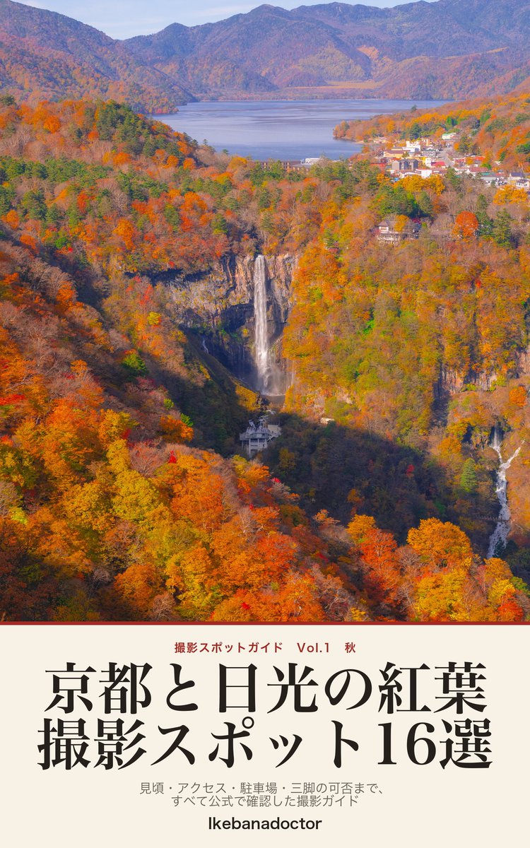 ikebanadoctor's tweet photo. 🍁 京都と日光の紅葉 撮影スポット16選、本になりました。
見頃・アクセス・駐車場・三脚の可否まで、すべて公式情報で確認した撮影ガイドです。

🍁 Autumn Leaves in Kyoto and Nikko: 16 Photo Spots — now on Kindle and in paperback.

#紅葉 #撮影スポット https://t.co/bhht3Ytmv9