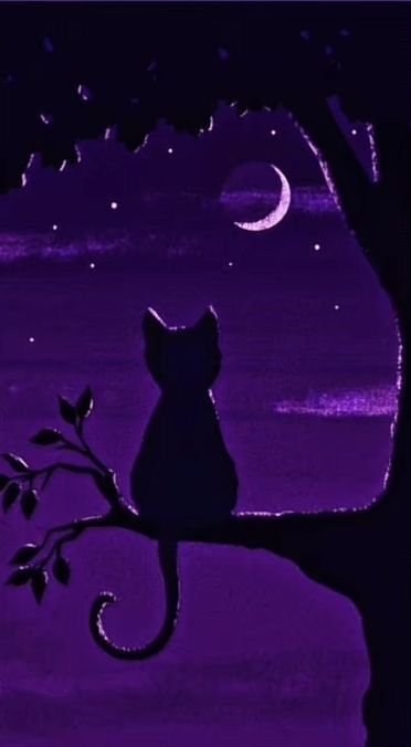JohnSmith2d89's tweet photo. @ashycane Here's mone https://t.co/RI6Dy0oskj