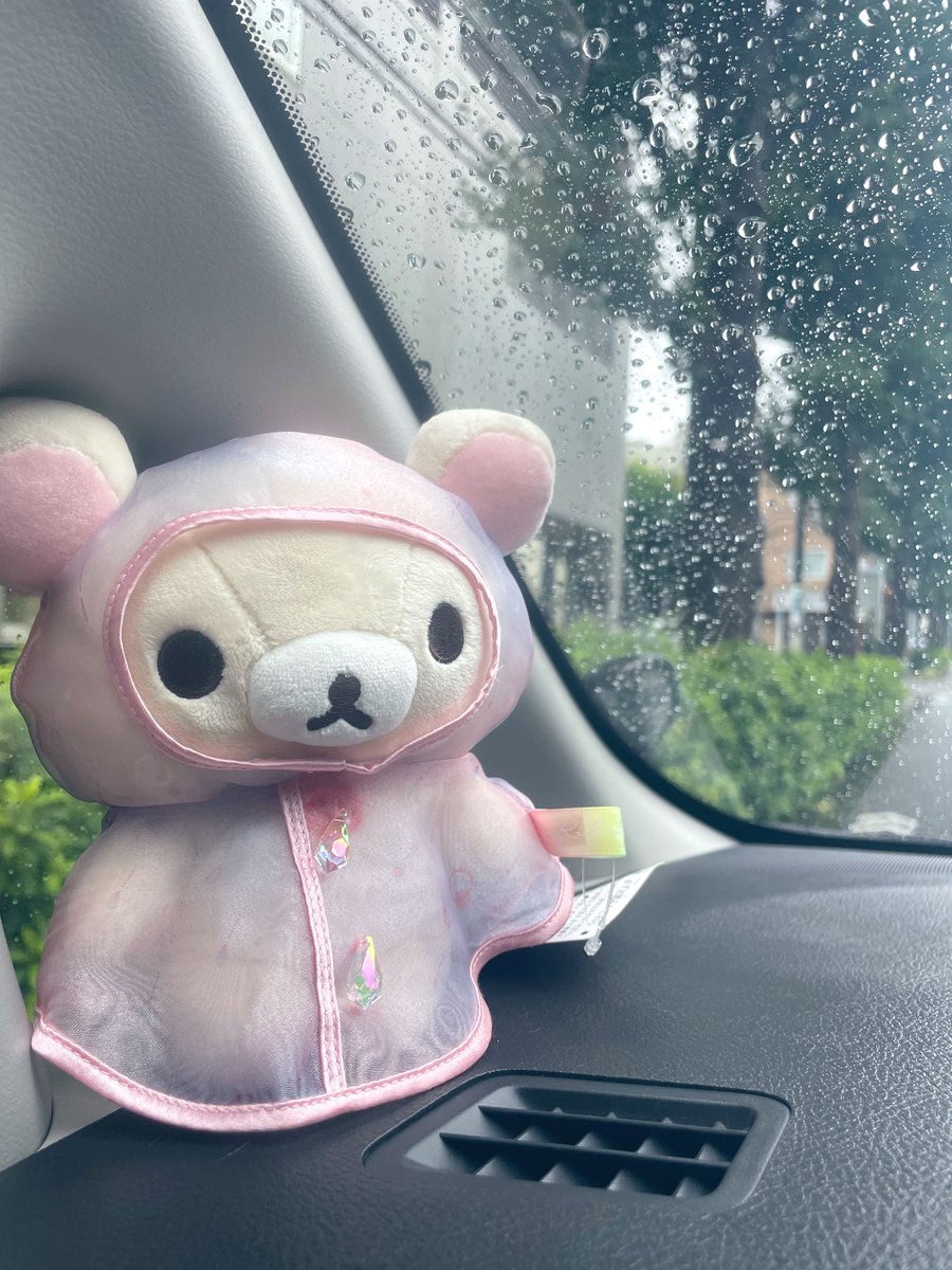 mochidot__'s tweet photo. カッパコリ連れてお出かけ🚗 ☔️ https://t.co/WpcsB6M8mp