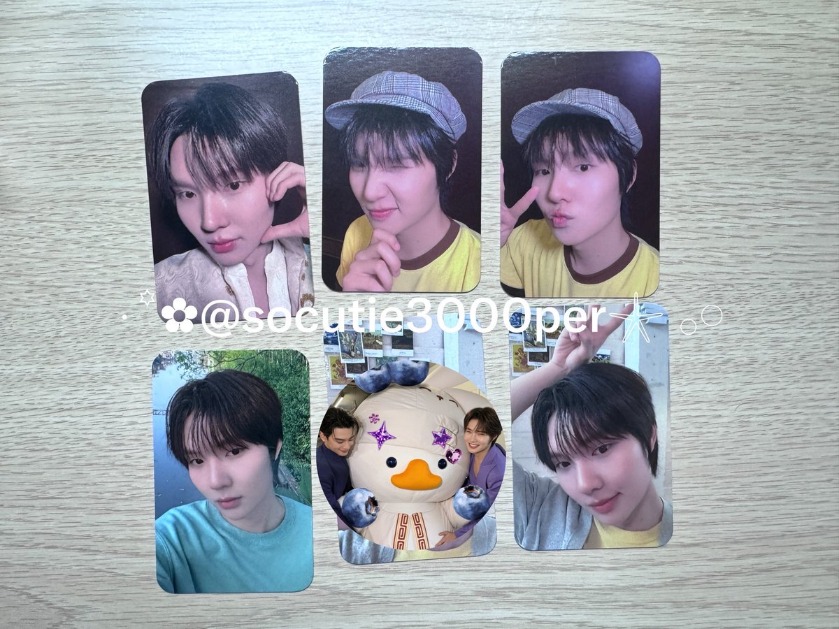 socutie3000per's tweet photo. WTS : ผกาย คุณเดือน ดั่งเดือนค้างฟ้า

ใบละ 120
ค่าส่งเหมา 40 🚚

#ตลาดนัดเก่งน้ำปิง #ตลาดนัดดูมันดิ 
#ตลาดนัดdmd #ตลาดนัดดมด https://t.co/XMpYAQCJJ9