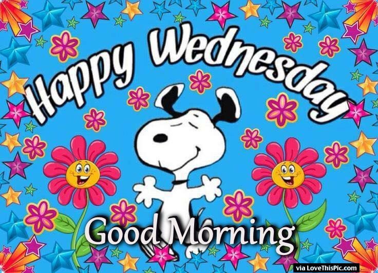 snoopyandfrien6's tweet photo. Happy Wednesday
Good Morning https://t.co/EFQ08j92kQ