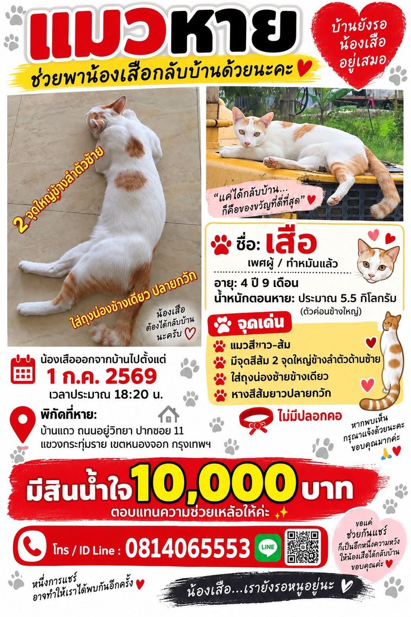 malimalineee's tweet photo. ยังตามหาอยู่นะคะ 78 วันแล้ว ยังไร้วี่แวว 

น้องไม่ได้ใส่ปลอกคอ าจถูกเข้าใจผิดว่าเป็นแมวจร

พบเจอแจ้งเบาะแสได้ที่ โทร/line id : 0814065553

รางวัลสำหรับผู้พากลับบ้าน 10,000 บาทค่ะ

#อยู่วิทยา11 #แมวหาย #แมวหายอยู่วิทยา #ตามหาแมวสีขาวส้มหางกวัก #แมวหายหนองจอก #แมวหายกระทุ่มราย https://t.co/nCKNtNzAfB