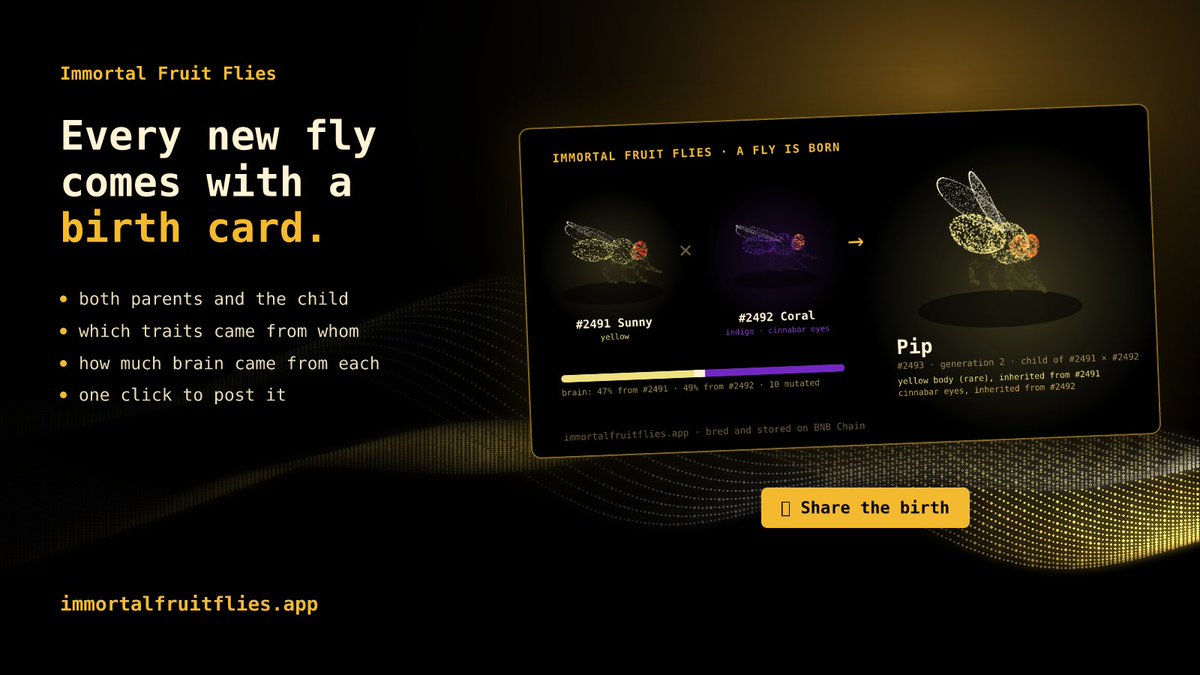 fruitfliesBsc's tweet photo. Update:  Breed a fly🧬. Get a birth card.

Parents, traits, and how much brain came from each — one click to post it.

https://t.co/KKuPQSoxlh

🪰🪰🪰🪰🪰
