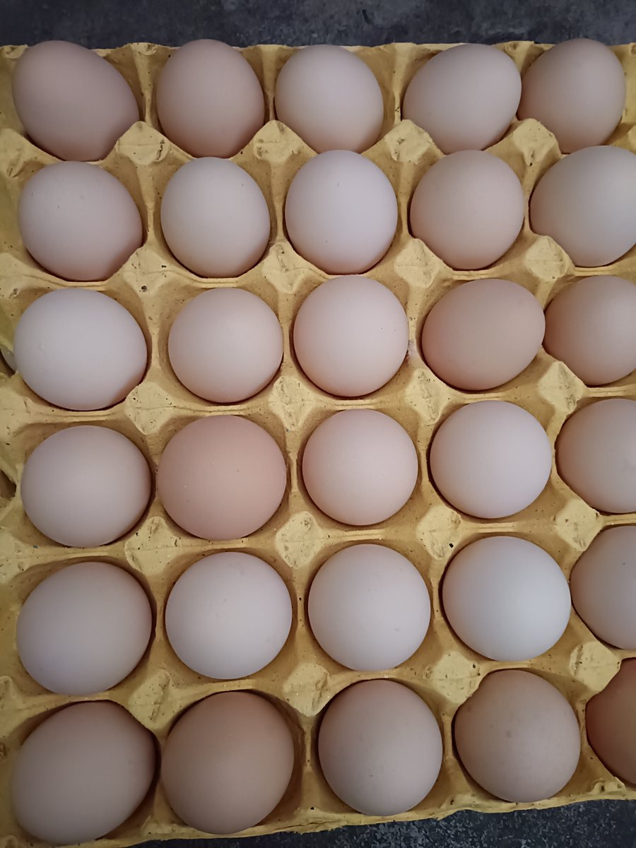 ottep266042's tweet photo. Fresh local strawberries, eggs and organic spinach restock at our farmers market stall today!  Grab yours before they’re gone – limited stock! https://t.co/Y6A03aYFJW