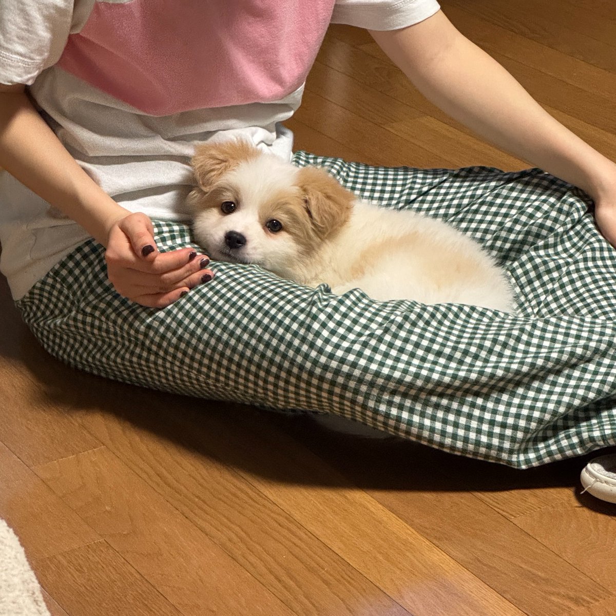 heeddong_'s tweet photo. 아기때도 누나 품을 좋아하긴 했징 https://t.co/WliV7JrTOj
