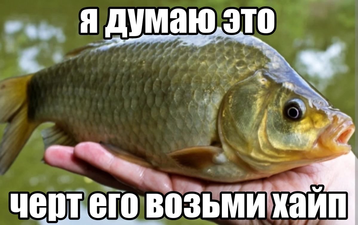 Tramvay295's tweet photo. @_Adbuzese_ https://t.co/xFV76DZXot
