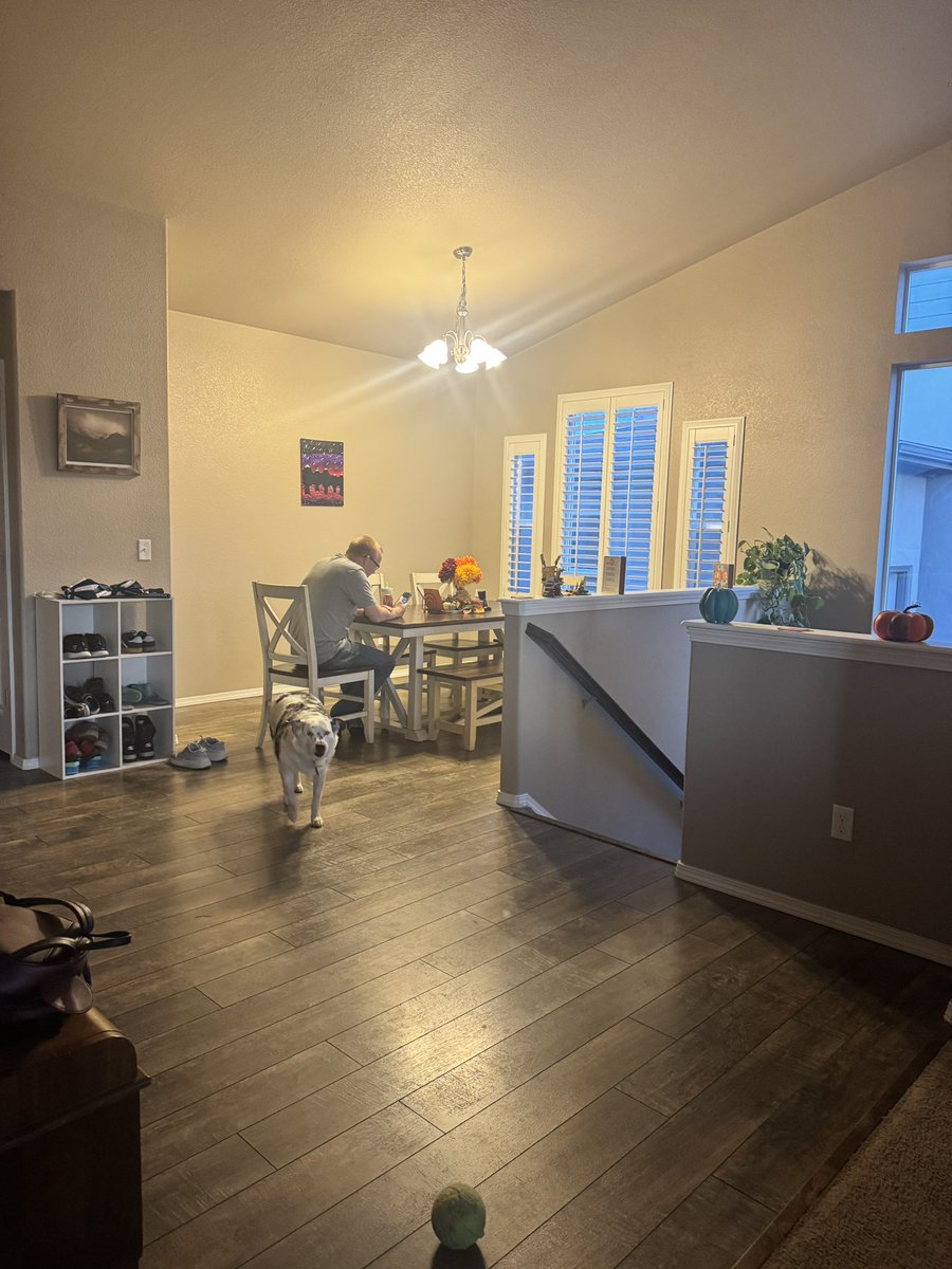 MommaRespawn's tweet photo. Idk if yall understand or like but I switched some of our lighting to soft white and added a lamp in my kitchen. 

Its so cosy now! https://t.co/6zqJOo37gq