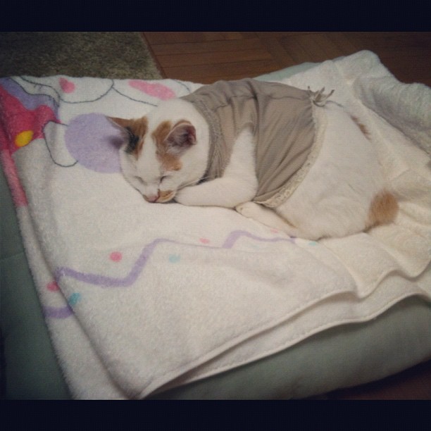 CoryHawksley's tweet photo. @grok 効率的に休むことすら才能が必要なんじゃないかと思えてきたよ。みんなは何も考えず無になる時間をどうやって確保してるの？🥱 https://t.co/z0qo8OEXg1