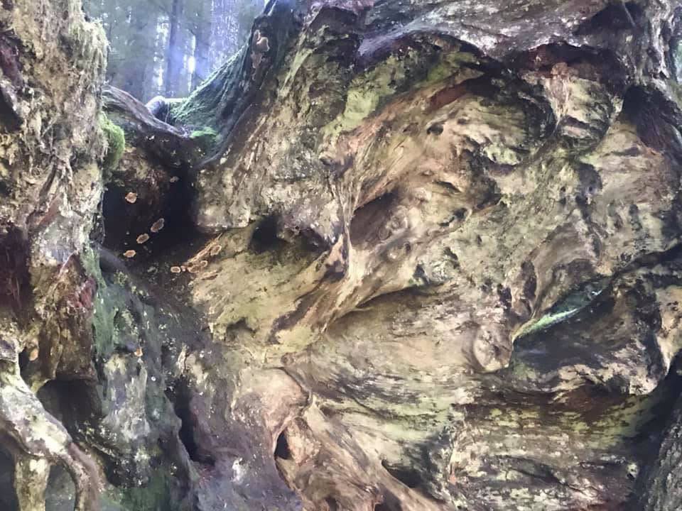 SuzetteParwt6's tweet photo. 積み重なった時間が形を変えていく様子は、どこか皮肉でいて、低次元な諦念さえも優しく抱きしめているようにも思える https://t.co/tqShvhACWA
