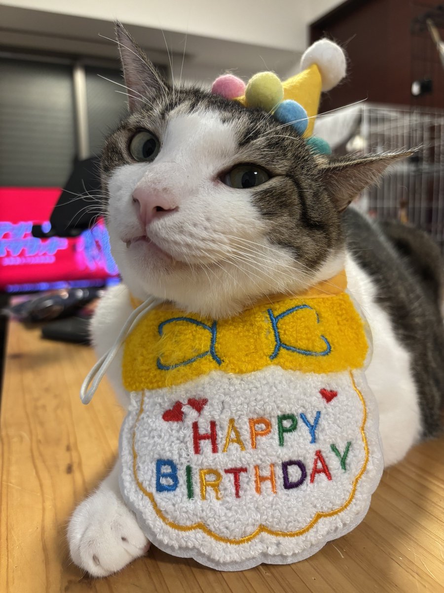 fukuroupiyopiyo's tweet photo. ドヤ顔してくるけど、誕生日まであと343日あるよ？ https://t.co/eOtscoixnE