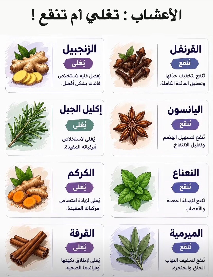 JazzarMohanad's tweet photo. الأعشاب : تغلي أم تنقع ! https://t.co/F263OerP0Y