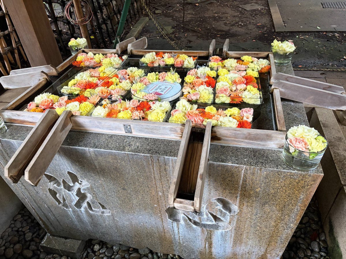 SOCKETS_JP's tweet photo. 🏮＼オフィス周辺の風景／

ソケッツのオフィスがある恵比寿では、先日、渋谷氷川神社の例大祭が行われました。

街には提灯やのぼりが並び、お祭りらしい雰囲気に✨
地域の歴史や文化に触れられるのも、恵比寿で働く楽しみのひとつです。

#恵比寿 #渋谷氷川神社 #例大祭 https://t.co/WL9ARjC6WE
