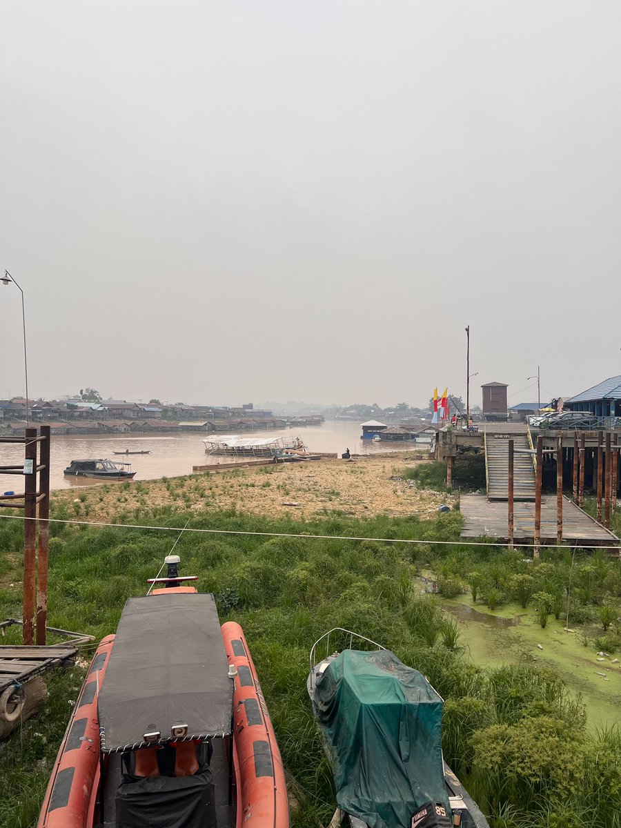 humaniesproject's tweet photo. Teman-teman, ini bukan rumput di tanah lapang ya. Tapi, kondisi sungai Kahayan  yang surut akibat kekeringan di Kalimantan Tengah 🥲

📍 Dermaga Rambang, Palangkaraya https://t.co/SMrDBrWMuH