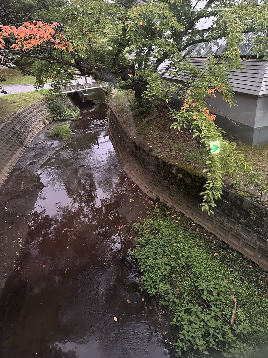 tomu777's tweet photo. 久しぶりにアップルランドへ宿泊しに。例年の暑さはなく、温泉に入るには、丁度いい季節でした。平日ということもあり、あまり混んでなくて最高な温泉でした。やっぱり、温泉は最高です！ https://t.co/MnbSnOvFfY