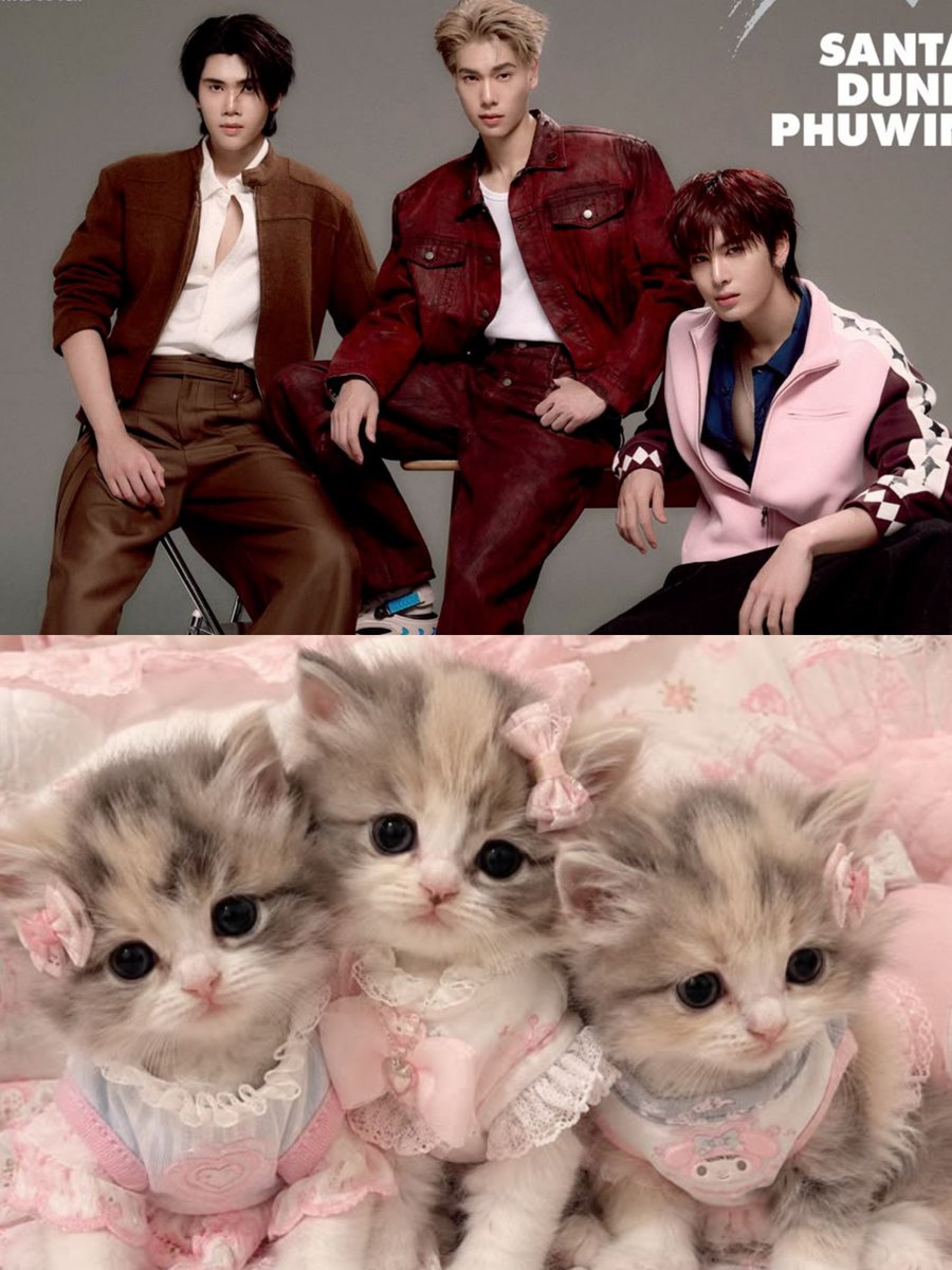 chubapie's tweet photo. #ELLEMENXPhuwinDunkSanta
#Santapp

My meowwwww ((🐱💗✨️)) https://t.co/eYV4JS5dGw
