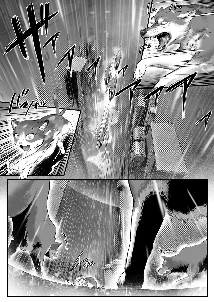 Jayshjay's tweet photo. 猫を拾っただけなのに…
（1/4） https://t.co/crkEIFcEjG
