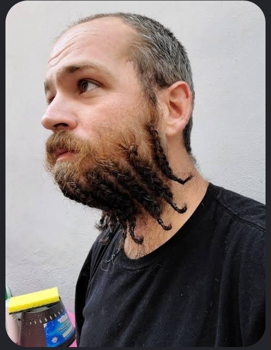 Alpha_Psionic's tweet photo. Why in the fuck is this a thing!? #WhiteManCornrows #Beards #CornrowBeard https://t.co/u9HJDsiCmm